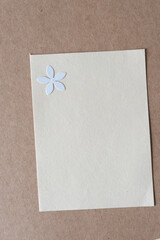 single floral paper confetti on neutral color paper frame and cardboard