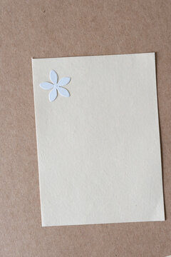 Single Floral Paper Confetti On Neutral Color Paper Frame And Cardboard