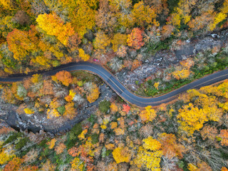 Peak Fall Foliage in Asheville, North Carolina. Autumn Colors Red, Yellow, and orange. East Coast Drone Aerial View