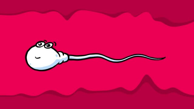 Sperm cell cartoon animated character isolated. Animation loop with alpha channel. Red purple pink background.