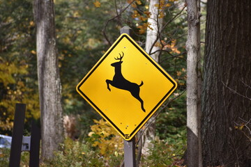 Yellow deer crossing warning sign in the forest