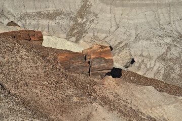 Fototapeta premium Petrified Forest National Park in Arizona USA