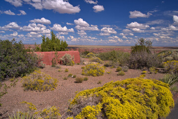 Obraz premium Petrified Forest National Park in Arizona USA