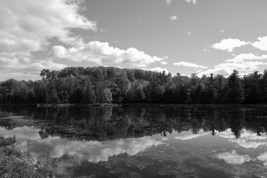 Fall forest along a river © Joe