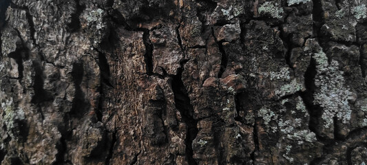 black mango skin texture