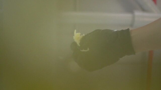 Queso