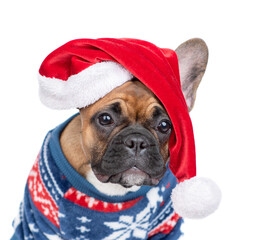 French Bulldog puppy wearing funny Santa claus hat and warm sweater sits and looks at camera. Isolated on white background