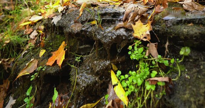 Autumn video of a scenic waterfall located in Lansing NY, Emilie Jonas Nature Falls Trail, near Ithaca, New York.	