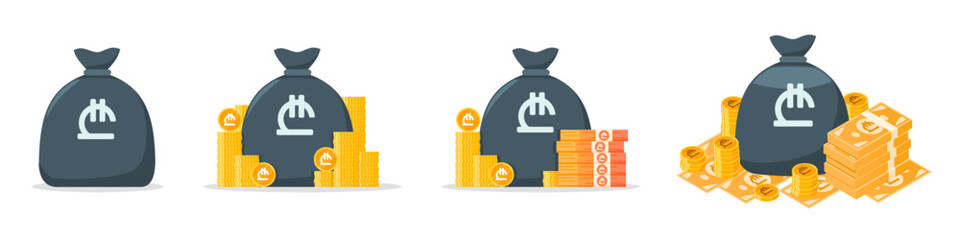 Georgian Lari Money Bag Icon Set