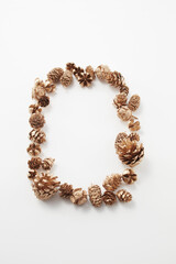 pinecone    autumn   Dried flower   松ぼっくり  自然　白背景　秋