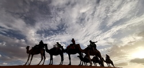 merzouga camel ridding morocco desert 