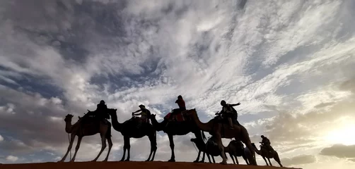 Foto op Plexiglas merzouga camel ridding morocco desert  © elyousfi