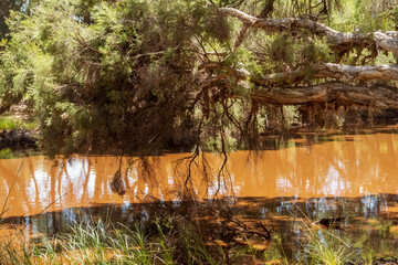Muddy creeks at Whiteman Park Western Australia
