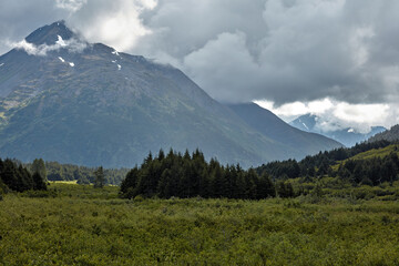 Fototapeta premium Kenai peninsula