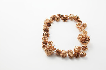 pinecone    autumn   Dried flower   松ぼっくり  自然　白背景　秋