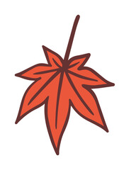 もみじ、紅葉、秋の風物詩、単品