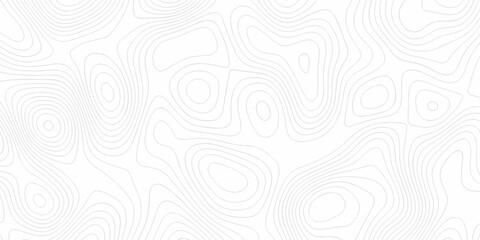 Obraz premium White wave paper curved reliefs abstract background, Abstract topographic contours map background, Vector contour topographic map background. Topography and geography map grid abstract backdrop.