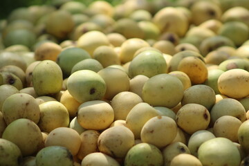 South African marula fruit from marula tree