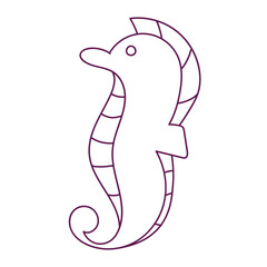 seahorses and seawater squid