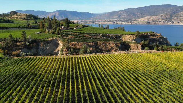 Naramata Bench Winery Vineyard Penticton Okanagan Valley