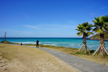 fine seaside walkway in autumn