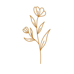 golden aesthetic botanical flower plant