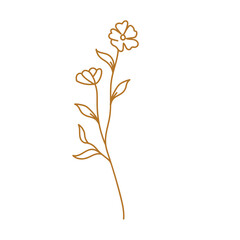 golden aesthetic botanical flower plant