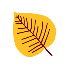 autumn foliage leaves summer