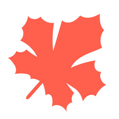 autumn foliage leaves summer