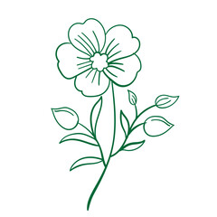 aesthetic botanical flower plant