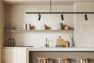 Light kitchen interior with countertop, shelf with kitchenware and seats