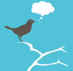 bird on branch