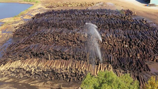 Log storage yard at a sawmill using a sprinkler, irrigation system to wet down log piles. Aerial drone view in TennesseeU.S.A.