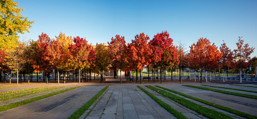 autumn trees at Kanzleramt in Berlin