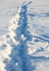Fototapeta na wymiar Footpath in the snow as a background.