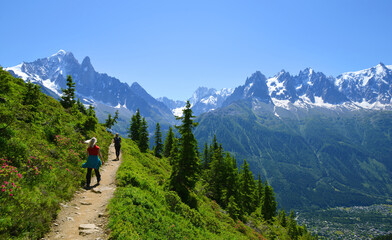 Idyllic landscape with Mont Blanc mountain range in sunny day. Hikers on trip in the Nature Reserve Aiguilles Rouges, French Alps, France, Europe. - 538525395