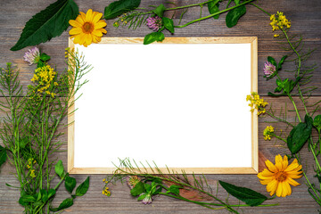 Beautiful flowers composition. Blank frame for text