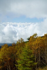 This place is known for the sea of clouds that is visible from points of high elevation