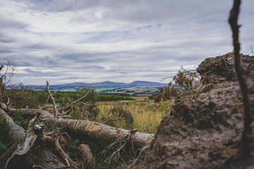 Fototapeta na wymiar The stunning views found at Kyloe Hills hides close to St Cuthbert’s Cave