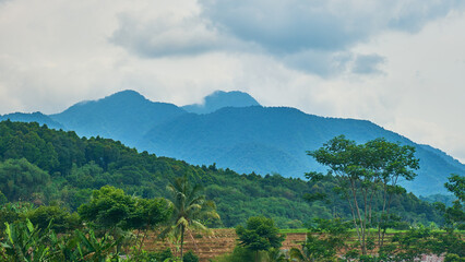 Fototapeta na wymiar Beautiful and fresh hill view, West Java, Indonesia