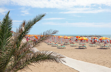 beach in summer and umbrellas and deck chairs and a palm tree in the Resort