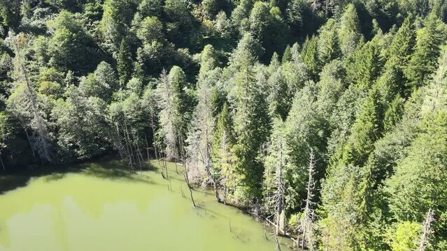 karagol lake Artvin Turkey