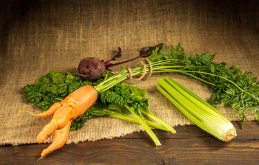 Still life in a rustic style of organic vegetables - carrots, beets and celery