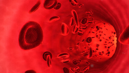 赤血球が流れる血液と血管内部のイラスト