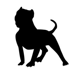 Bullipit, an American bully pit silhouette of a standing dog