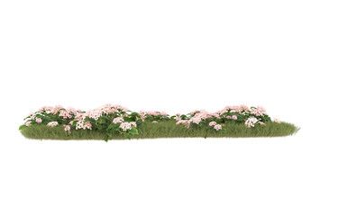 Field of grass with flowers on transparent background. 3d rendering - illustration