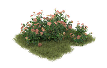 Field of grass with flowers on transparent background. 3d rendering - illustration
