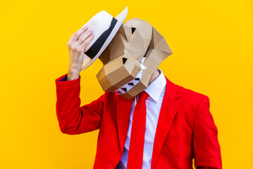 Cool man wearing  funny 3d origami mask and costume on colorful background