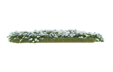 Field of grass with flowers on transparent background. 3d rendering - illustration