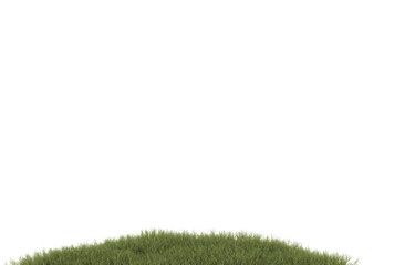 Field of grass with flowers on transparent background. 3d rendering - illustration